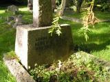 image of grave number 265152